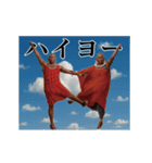 THEマサイ（個別スタンプ：10）