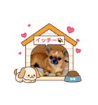 イッチー（チワワ）スタンプ24（個別スタンプ：9）
