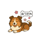 シェルティたちの日常スタンプ（個別スタンプ：7）