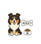 シェルティたちの日常スタンプ（個別スタンプ：9）