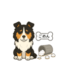 シェルティたちの日常スタンプ（個別スタンプ：11）