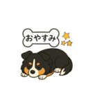 シェルティたちの日常スタンプ（個別スタンプ：12）