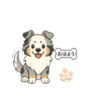 シェルティたちの日常スタンプ（個別スタンプ：17）