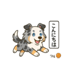 シェルティたちの日常スタンプ（個別スタンプ：21）
