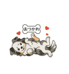 シェルティたちの日常スタンプ（個別スタンプ：23）