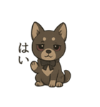 病みかわ柴犬の日常/挨拶/返答（個別スタンプ：6）