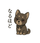 病みかわ柴犬の日常/挨拶/返答（個別スタンプ：9）