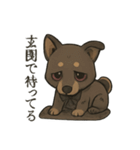 病みかわ柴犬の日常/挨拶/返答（個別スタンプ：23）