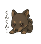 病みかわ柴犬の日常/挨拶/返答（個別スタンプ：24）