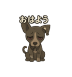 病みかわバセンジー/日常使い、挨拶、返答（個別スタンプ：1）