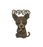 病みかわバセンジー/日常使い、挨拶、返答（個別スタンプ：2）