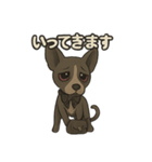 病みかわバセンジー/日常使い、挨拶、返答（個別スタンプ：4）