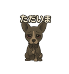 病みかわバセンジー/日常使い、挨拶、返答（個別スタンプ：5）