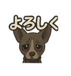 病みかわバセンジー/日常使い、挨拶、返答（個別スタンプ：6）
