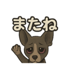 病みかわバセンジー/日常使い、挨拶、返答（個別スタンプ：7）
