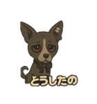 病みかわバセンジー/日常使い、挨拶、返答（個別スタンプ：9）