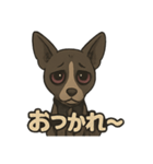 病みかわバセンジー/日常使い、挨拶、返答（個別スタンプ：10）