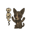 病みかわバセンジー/日常使い、挨拶、返答（個別スタンプ：11）