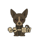 病みかわバセンジー/日常使い、挨拶、返答（個別スタンプ：12）