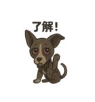 病みかわバセンジー/日常使い、挨拶、返答（個別スタンプ：15）