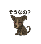 病みかわバセンジー/日常使い、挨拶、返答（個別スタンプ：17）