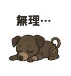 病みかわバセンジー/日常使い、挨拶、返答（個別スタンプ：19）