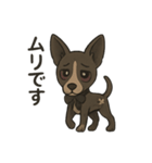 病みかわバセンジー/日常使い、挨拶、返答（個別スタンプ：24）