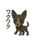 病みかわバセンジー/日常使い、挨拶、返答（個別スタンプ：26）