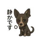 病みかわバセンジー/日常使い、挨拶、返答（個別スタンプ：27）