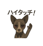 病みかわバセンジー/日常使い、挨拶、返答（個別スタンプ：33）