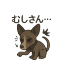 病みかわバセンジー/日常使い、挨拶、返答（個別スタンプ：34）
