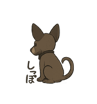 病みかわバセンジー/日常使い、挨拶、返答（個別スタンプ：35）