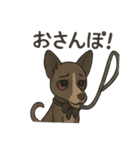 病みかわバセンジー/日常使い、挨拶、返答（個別スタンプ：38）