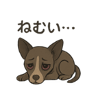 病みかわバセンジー/日常使い、挨拶、返答（個別スタンプ：39）
