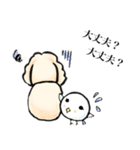 ゆるだる犬【太郎】4.5（個別スタンプ：21）