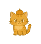 茶トラ猫のハロウィーンスタンプ（個別スタンプ：4）