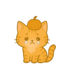 茶トラ猫のハロウィーンスタンプ（個別スタンプ：6）