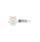 省スペース・吹き出し トイプー ホワイト（個別スタンプ：28）