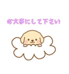[お大事にして下さい専用]お空のワンコ（個別スタンプ：1）