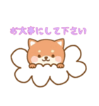 [お大事にして下さい専用]お空のワンコ（個別スタンプ：15）