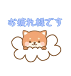 [お疲れ様です専用]お空のワンコ（個別スタンプ：2）