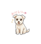 ポルさんデス（個別スタンプ：1）