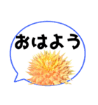 *花* ダリア＆吹き出し Colorful（個別スタンプ：4）