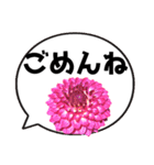 *花* ダリア＆吹き出し Colorful（個別スタンプ：6）