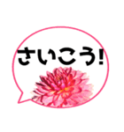 *花* ダリア＆吹き出し Colorful（個別スタンプ：8）