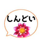 *花* ダリア＆吹き出し Colorful（個別スタンプ：9）