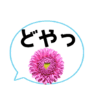 *花* ダリア＆吹き出し Colorful（個別スタンプ：12）