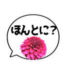 *花* ダリア＆吹き出し Colorful（個別スタンプ：13）