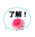 *花* ダリア＆吹き出し Colorful（個別スタンプ：15）