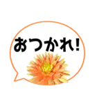 *花* ダリア＆吹き出し Colorful（個別スタンプ：18）